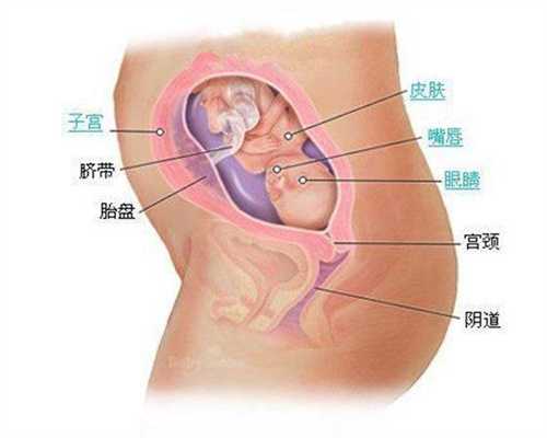理论关注高龄武汉代孕产妇孕产保健需求！武汉