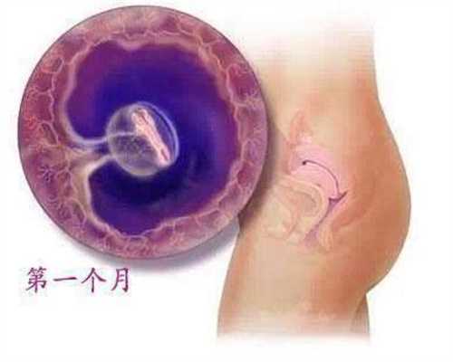 多囊患者了解排卵多一些，迎接好孕早一些！