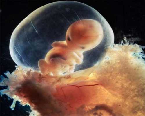 代怀孕多久能看到胎心？胎心可以看男女