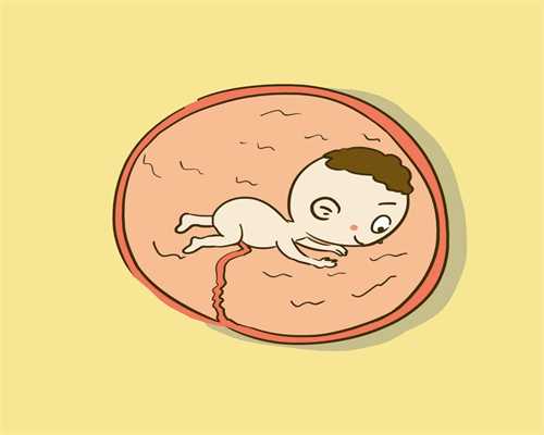 代孕初期饮食有什么技巧_365国际助孕中心