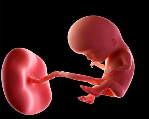 一般人代孕6周胎囊多大啊