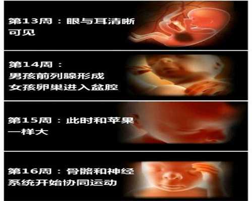代孕七个月发高烧怎么办_深圳有哪些助孕机构