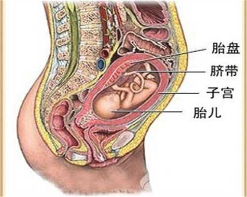 代孕腹围的大小不能代表胎儿的大小吗专家怎么