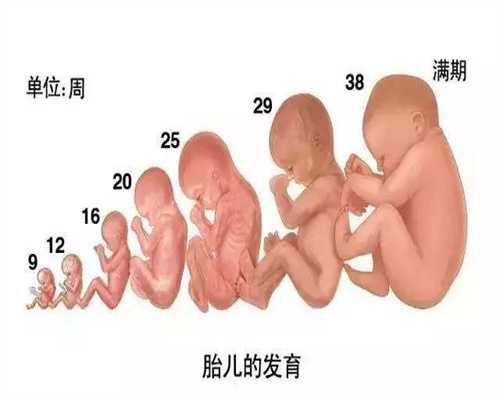 孕早期怎么补钙 孕早期补充多少钙才合适_俄罗斯